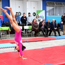 taller-de-gimnasia-ltv-2016-30