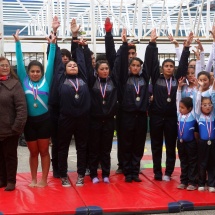 taller-de-gimnasia-ltv-2016-36