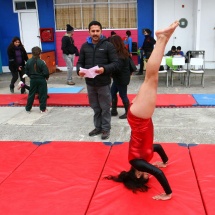 taller-de-gimnasia-ltv-2016-44