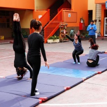 taller-de-gimnasia-ltv-2016-5
