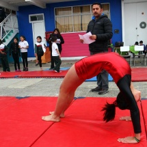 taller-de-gimnasia-ltv-2016-51