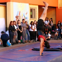 muestra-de-talleres-2016-42