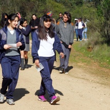 penuelas-16