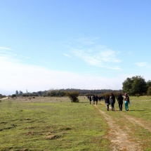 penuelas-31
