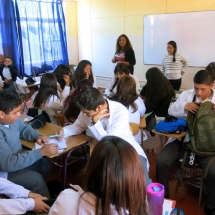 Bases curriculares LTV (1)