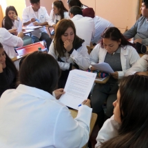 Bases curriculares LTV (10)