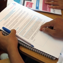 Bases curriculares LTV (11)