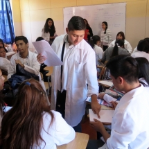Bases curriculares LTV (15)