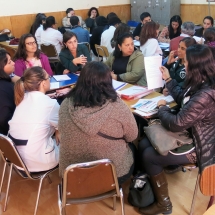 Bases curriculares LTV (19)