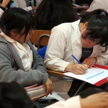 Bases curriculares LTV (9)