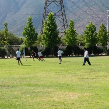 Rosa Agustina 1 (29)