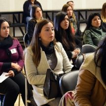 Seminario PIE 2018 (11)