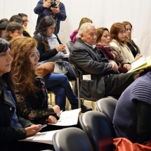 Seminario PIE 2018 (12)
