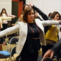 Seminario PIE 2018 (19)