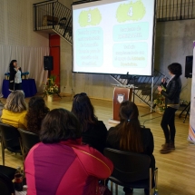Seminario PIE 2018 (28)