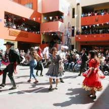 Fiesta Criolla LTV 2019 (114)