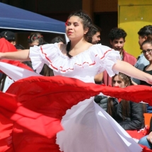 Fiesta Criolla LTV 2019 (132)