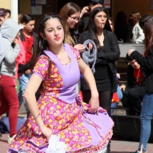 Fiesta Criolla LTV 2019 (153)