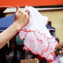 Fiesta Criolla LTV 2019 (170)