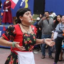 Fiesta Criolla LTV 2019 (32)
