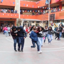 Fiesta Criolla LTV 2019 (7)
