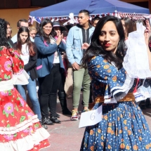 Fiesta Criolla LTV 2019 (73)