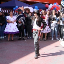 Fiesta Criolla LTV 2019 (76)