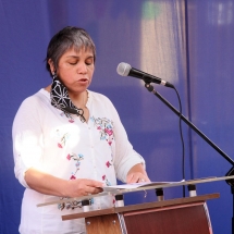 Licenciatura Vespertina (40)