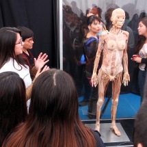 expo-bodies-10