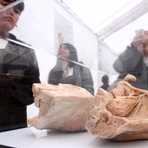 expo-bodies-12
