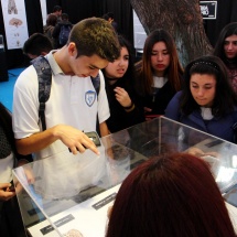 expo-bodies-18