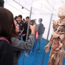 expo-bodies-22