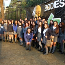 expo-bodies-30