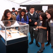 expo-bodies-6
