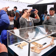 expo-bodies-8