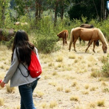granja-educativa-quebrada-verde-25