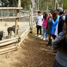 granja-educativa-quebrada-verde-4