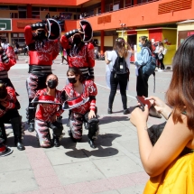 Carnaval LTV 2021 (4)