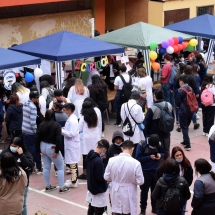 Día de la Matemática LTV (44)