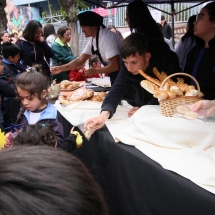 Carnavalito (32)